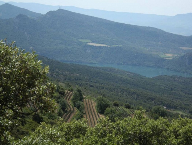 Recorridos de enoturismo